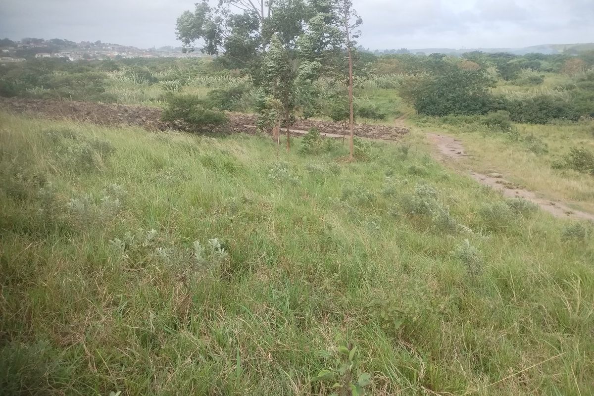 Vacant land for sale in Dlangezwa,Ongoye - Photo 4