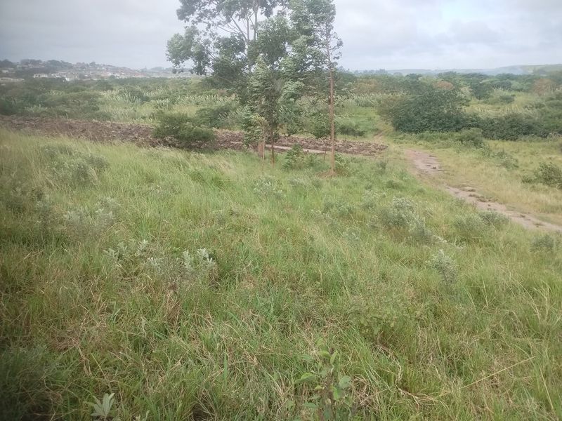 Vacant land for sale in Dlangezwa,Ongoye - Photo 4