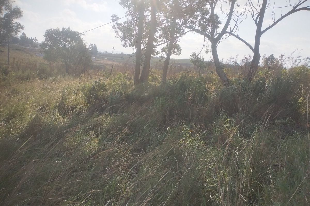 Vacant land for sale in Dlangezwa,Ongoye - Photo 3