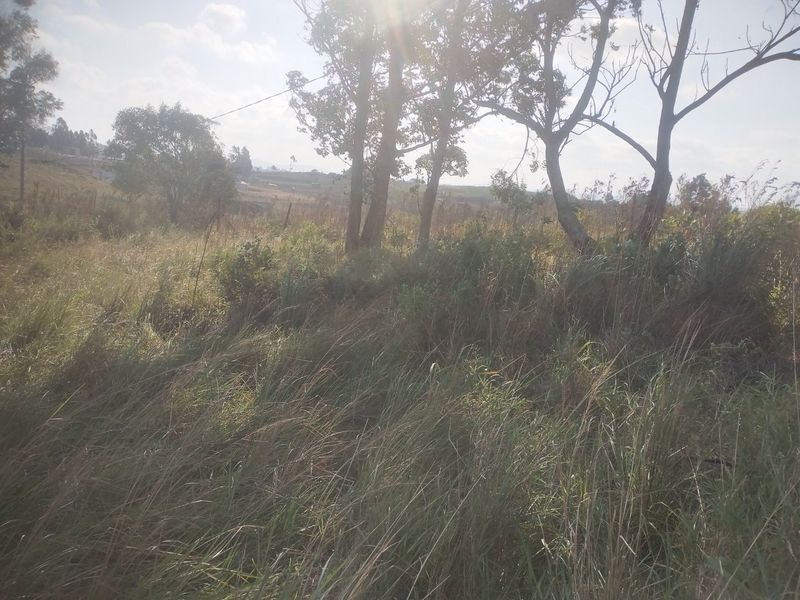 Vacant land for sale in Dlangezwa,Ongoye - Photo 3