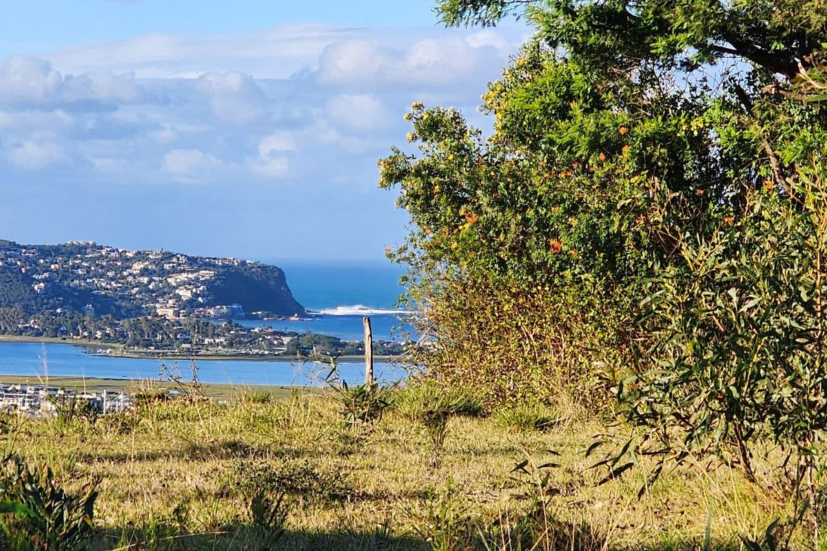 Elevated Paradise in Knysna Heights – No Transfer Duty! - Photo 5