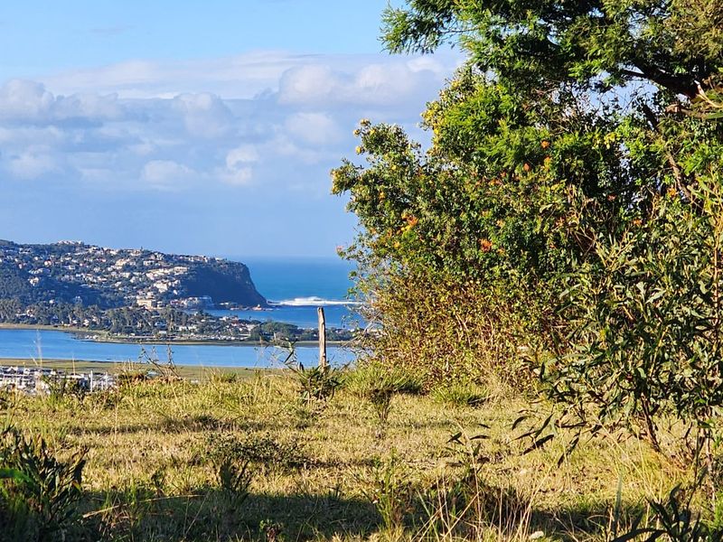 Elevated Paradise in Knysna Heights – No Transfer Duty! - Photo 5