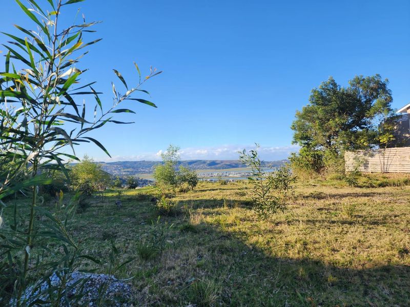 Elevated Paradise in Knysna Heights – No Transfer Duty! - Photo 9