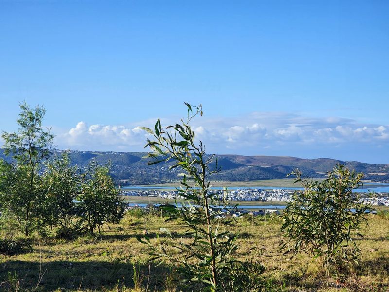 Elevated Paradise in Knysna Heights – No Transfer Duty! - Photo 7