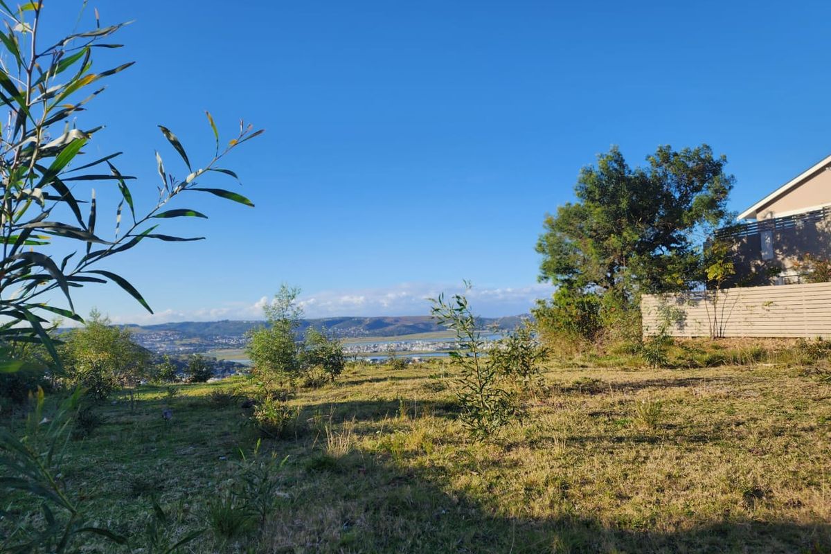 Elevated Paradise in Knysna Heights – No Transfer Duty! - Photo 4