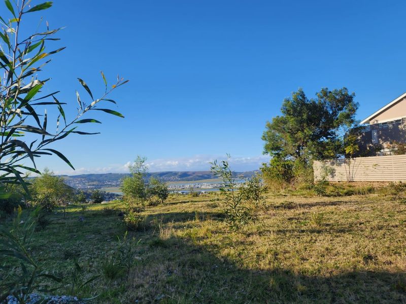 Elevated Paradise in Knysna Heights – No Transfer Duty! - Photo 4