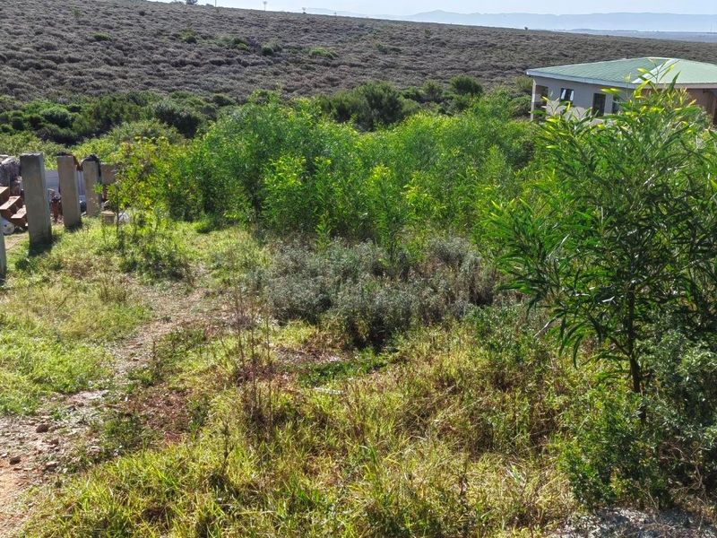 Vacant Land for Sale - Photo 2