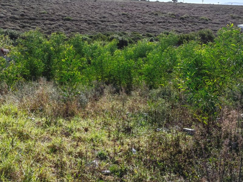 Vacant Land for Sale - Photo 3