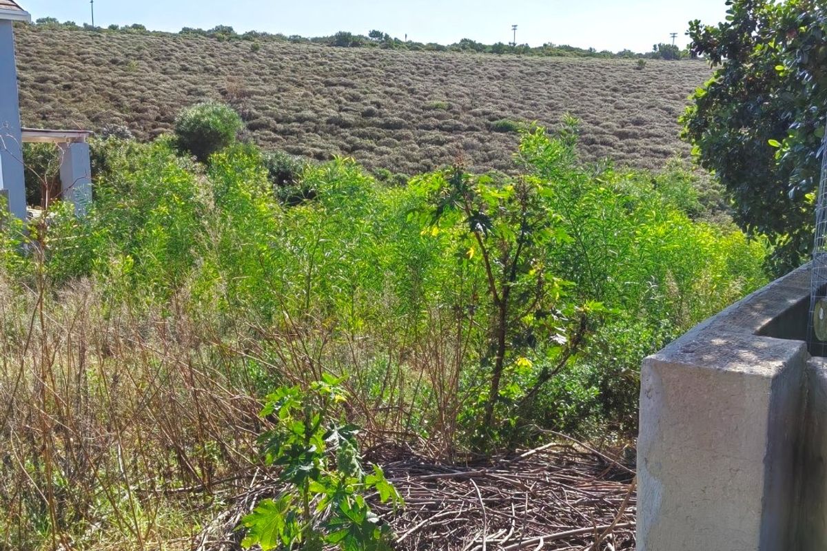 Vacant Land for Sale - Photo 4