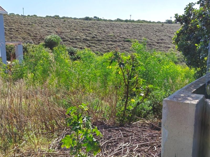 Vacant Land for Sale - Photo 4