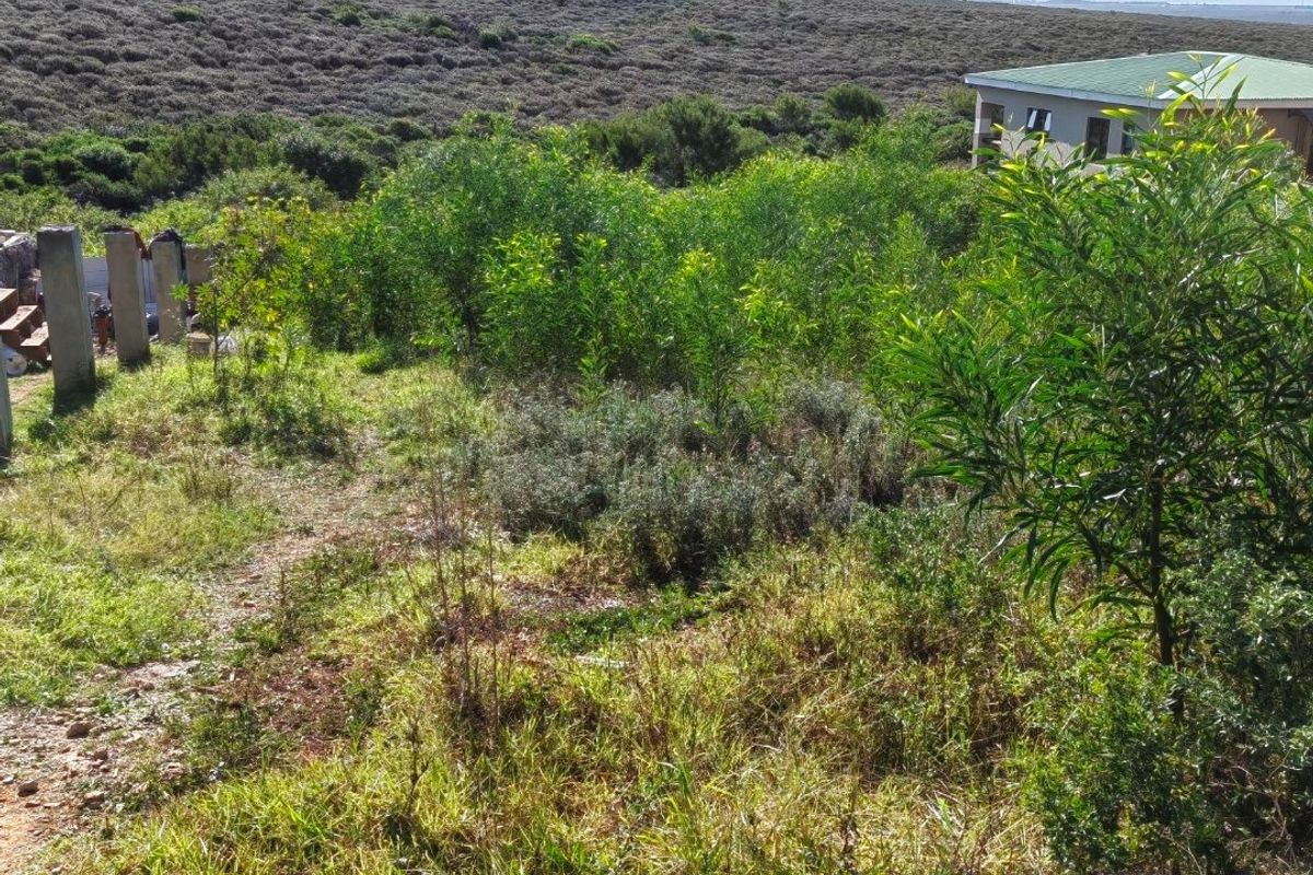 A view of the rear portion of the vacant residential land, featuring natural vegetation and surrounding landscape.