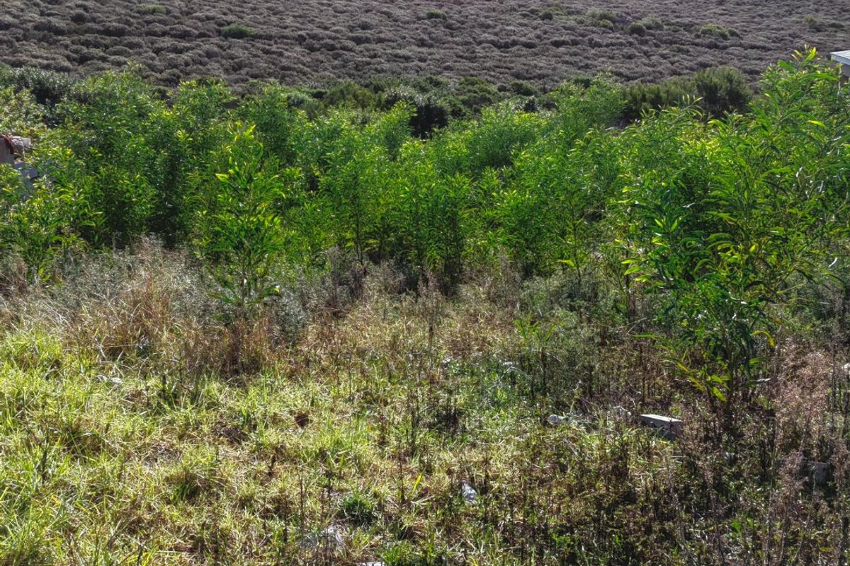 A view of the natural landscape and sloped terrain on the vacant residential property.