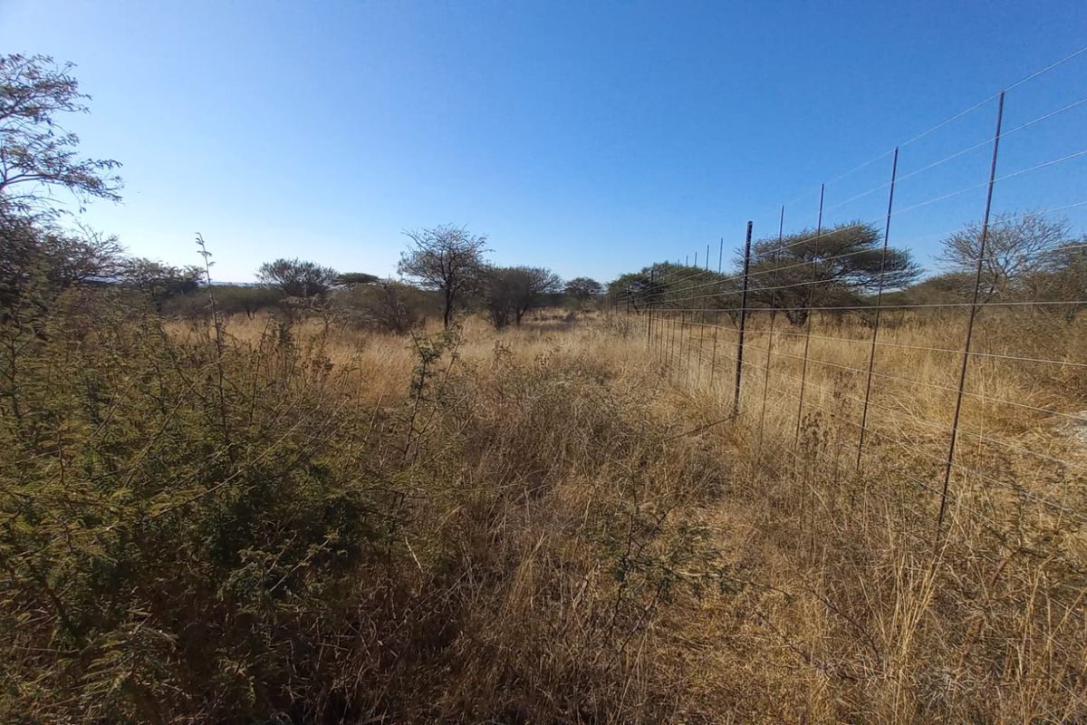 Exceptional Vacant Land for Sale - Prime N1 Access & Rural Charm - Photo 3