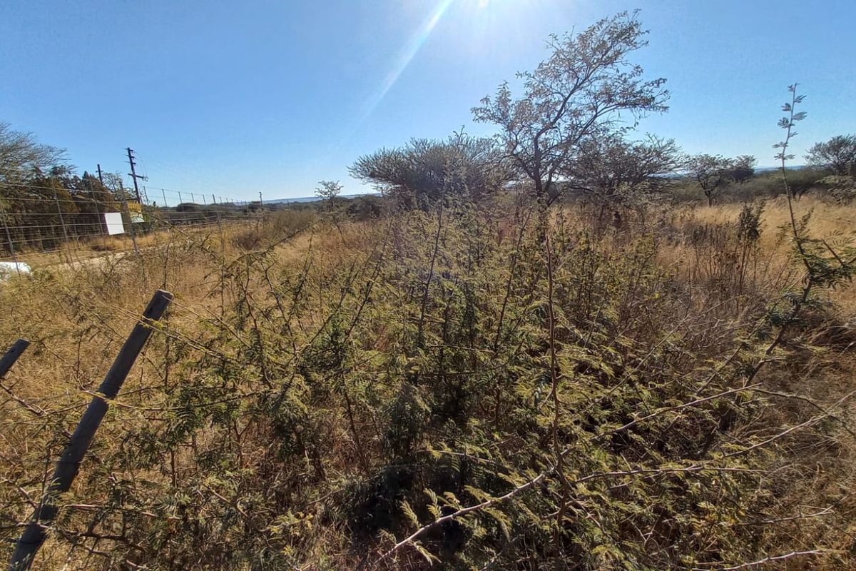 Exceptional Vacant Land for Sale - Prime N1 Access & Rural Charm - Photo 2