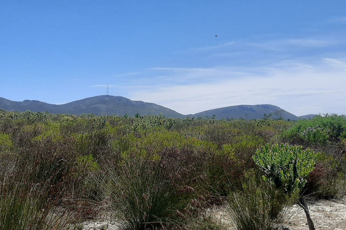 Tranquil Farm Living | Ideal for Remote Work, Creative Souls, or Peaceful Retirement - Photo 5