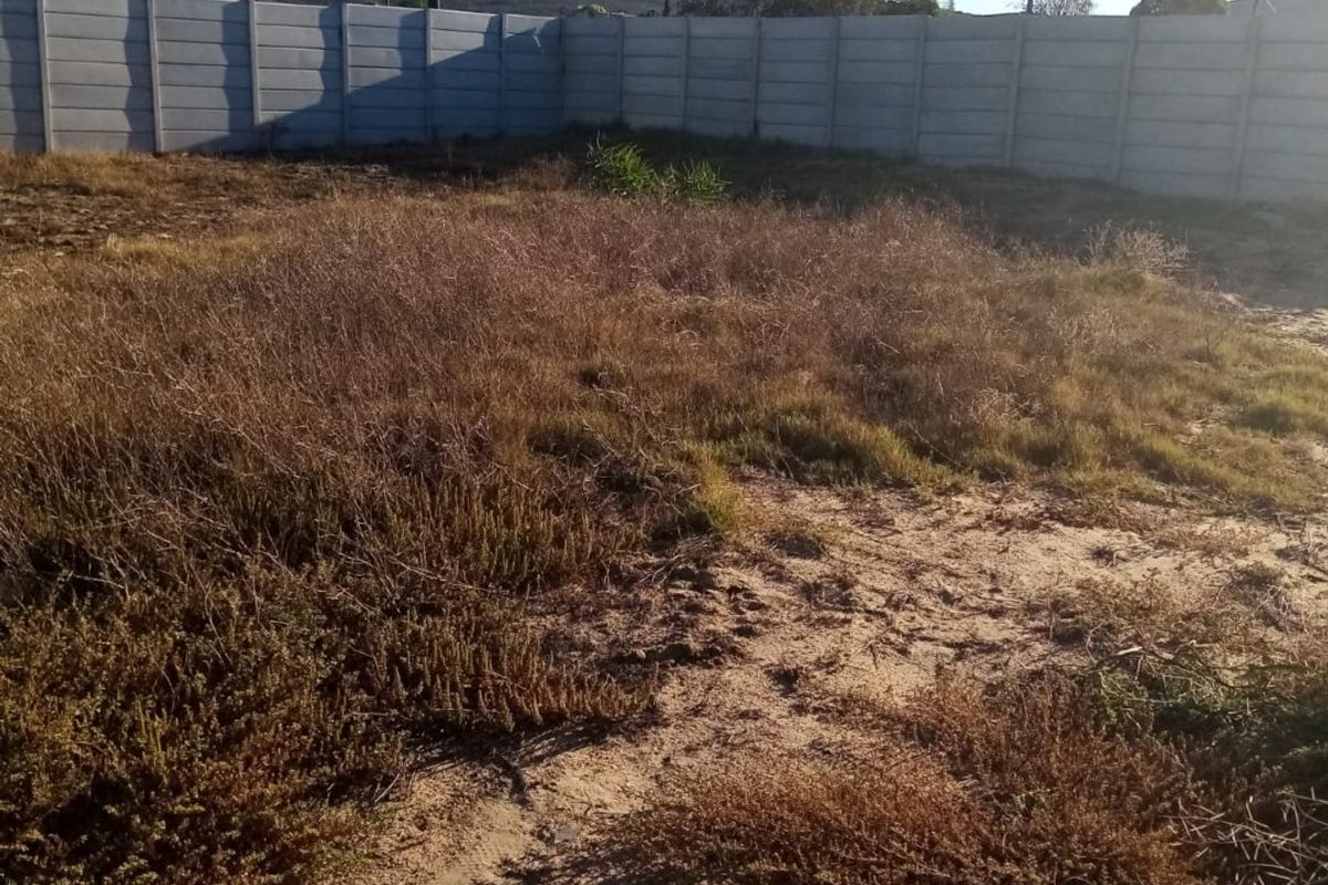 Plot for Sale in Chatsworth - Photo 2