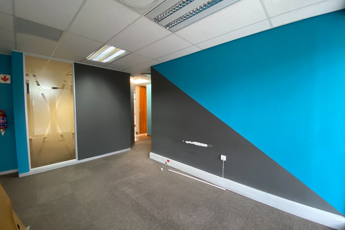 Empty commercial office space featuring a suspended ceiling, recessed lighting, glass partition, and carpeted flooring with dual-tone painted walls.