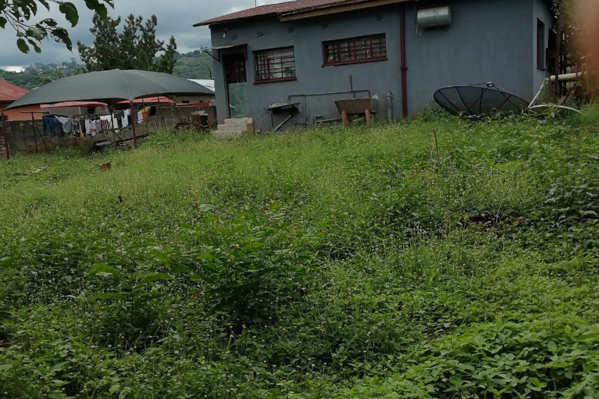 Rear view of the property showing the exterior wall, metal roof, and a large, overgrown garden area.