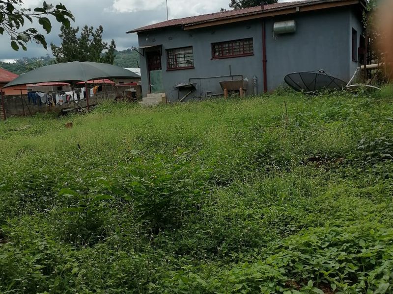 Rear view of the property showing the exterior wall, metal roof, and a large, overgrown garden area.