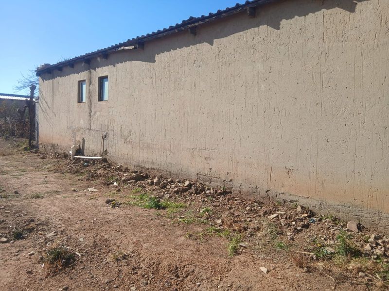 Spacious Family Home with Additional Backrooms - Photo 7