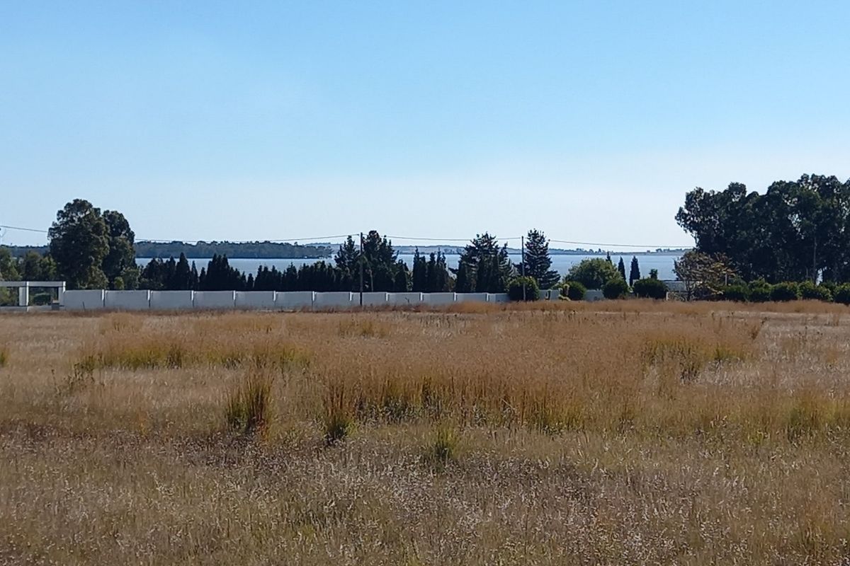 A wide view of the vacant residential land featuring a perimeter wall, mature trees, and distant water views.