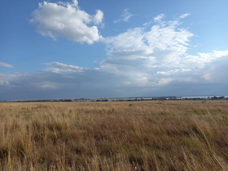 Eco Off-Grid Agricultural Stands  - Photo 8