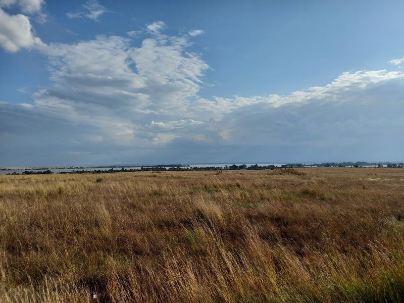 Eco Off-Grid Agricultural Stands  - Photo 6