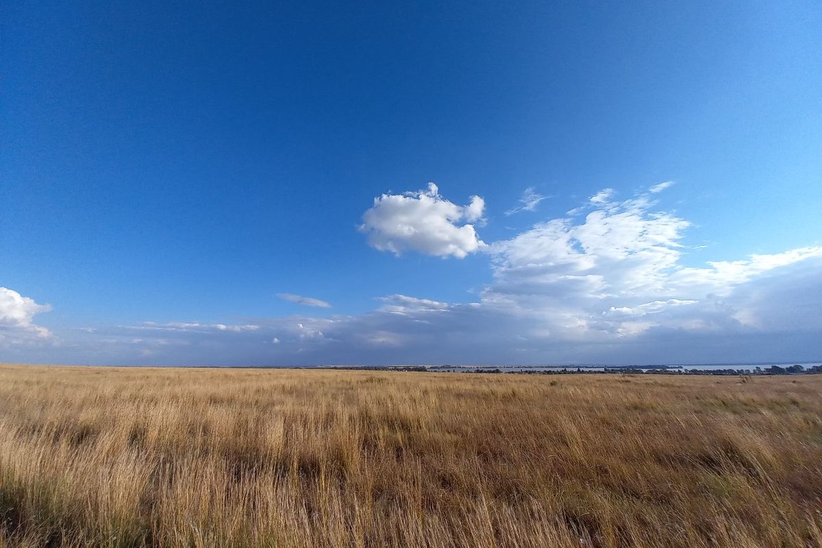 A wide-angle view of an expansive, undeveloped grassy field under a clear blue sky, showcasing the natural landscape of the property.