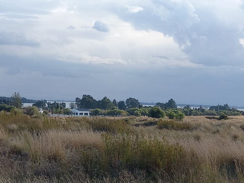 A scenic view of the vacant residential land featuring natural vegetation and distant landscape vistas under a cloudy sky.