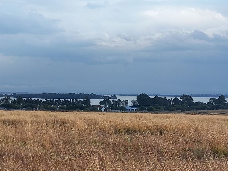 A scenic view of the vacant residential land featuring natural grass fields with a distant water body and tree line in the background.