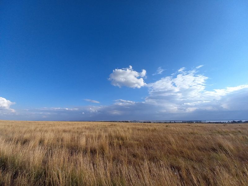 Eco Off-Grid Agricultural Stands  - Photo 5