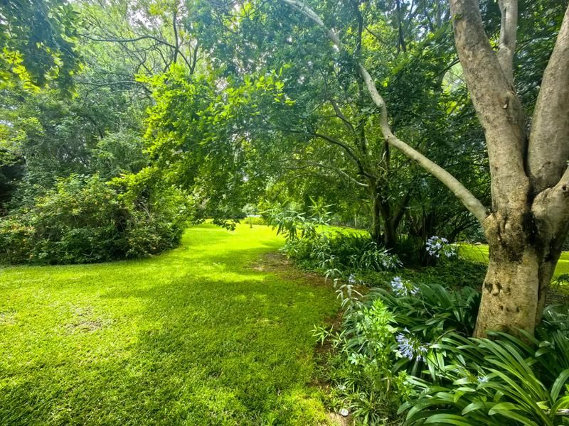 A lush, well-maintained garden area featuring mature trees, established shrubbery, and expansive green lawn space on the small holding property.