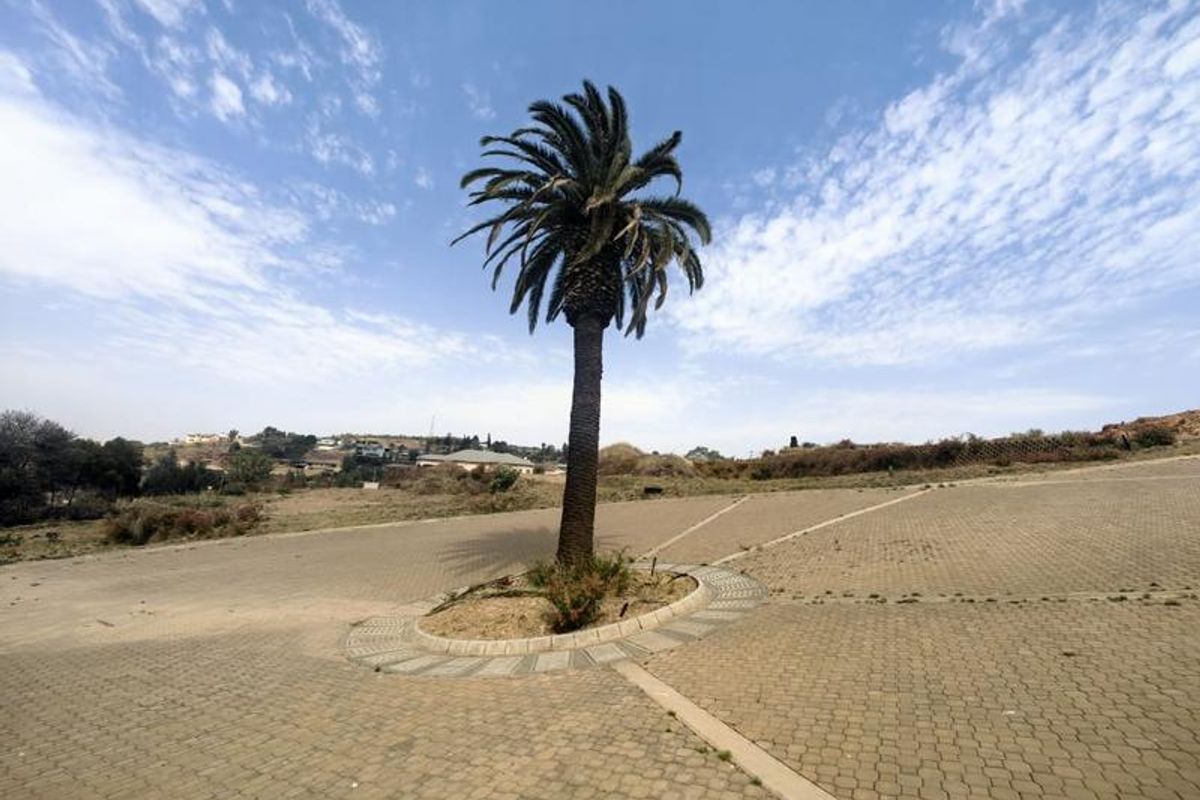 A wide-angle view of a paved driveway area featuring a central palm tree island, set within a residential estate environment.