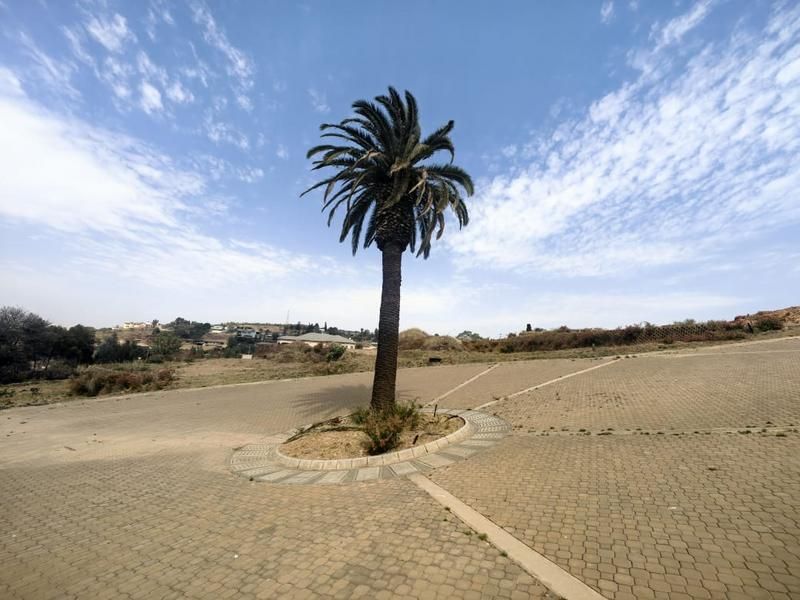 A wide-angle view of a paved driveway area featuring a central palm tree island, set within a residential estate environment.