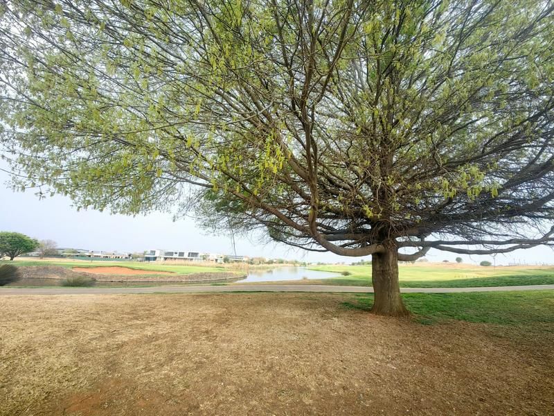 Spectacular 4-Bedroom house, on the greens FOR SALE in the Serengeti Golf and Wildlife Estate - Photo 7