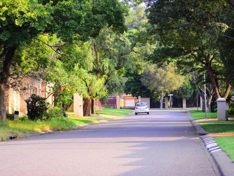 A view of a quiet, tree-lined residential street with paved roads, grass verges, and established landscaping.