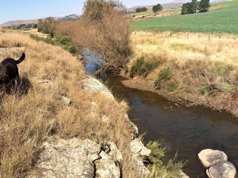 A scenic view of a natural stream flowing through the farm property, featuring rocky banks and surrounding open pasture land.