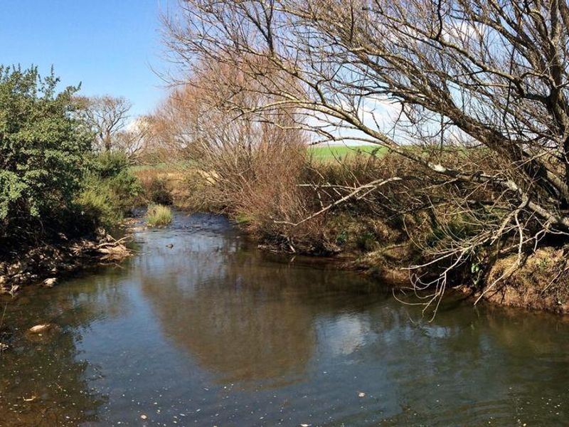 A scenic view of a natural stream flowing through the farm property, surrounded by mature trees and native vegetation.