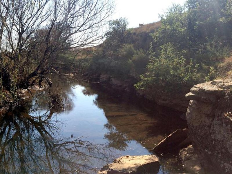A scenic view of a natural stream flowing through the farm property, featuring rocky banks and surrounding indigenous vegetation.