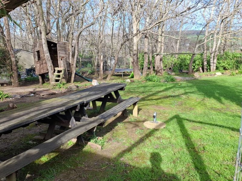 A spacious outdoor garden area featuring mature trees and a grass lawn, providing a natural setting for the property.