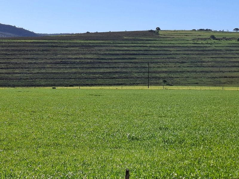 A scenic view of the expansive green farm pastures and rolling hills under a clear blue sky.