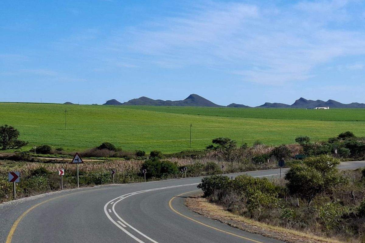 A scenic view of a winding asphalt road leading through expansive green farmland with distant hills under a clear blue sky.