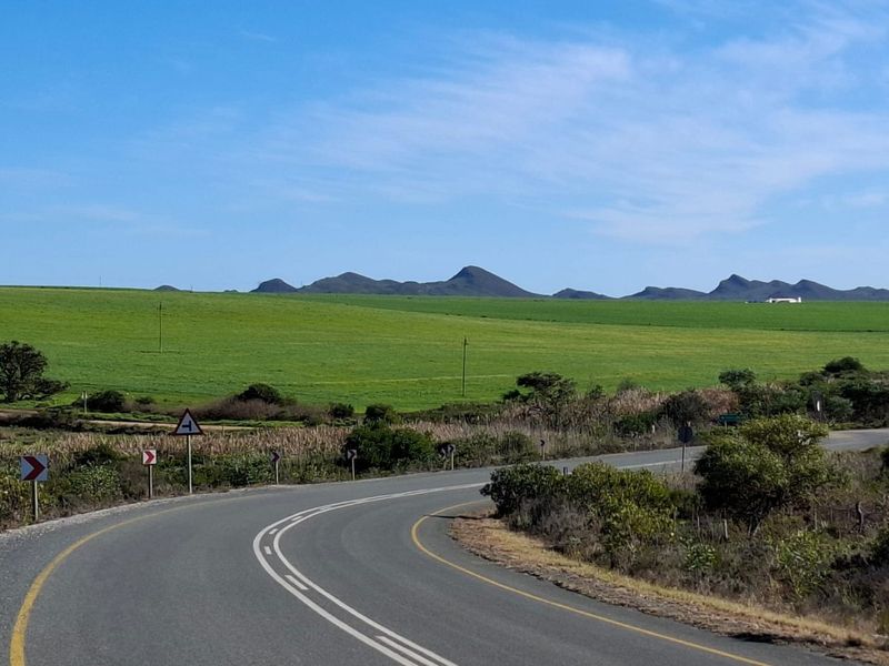 A scenic view of a winding asphalt road leading through expansive green farmland with distant hills under a clear blue sky.
