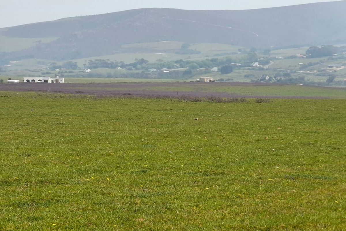 A scenic view of the expansive farm landscape featuring rolling green pastures and distant hills under a clear sky.