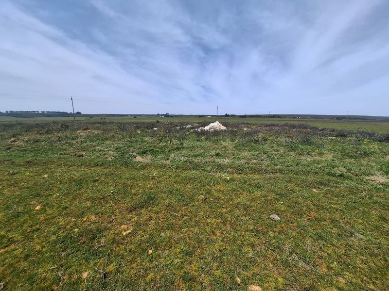 A wide-angle view of the expansive open pasture and natural landscape on the farm property.