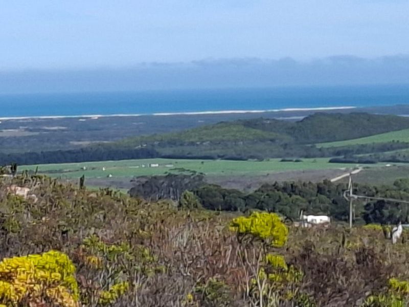 A scenic landscape view overlooking green farmland and coastal terrain with the ocean visible in the distance.