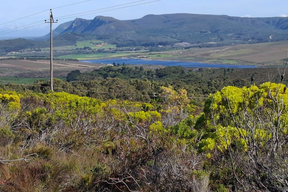 A scenic landscape view overlooking a valley, dam, and distant mountain range, featuring native vegetation and overhead utility infrastructure.