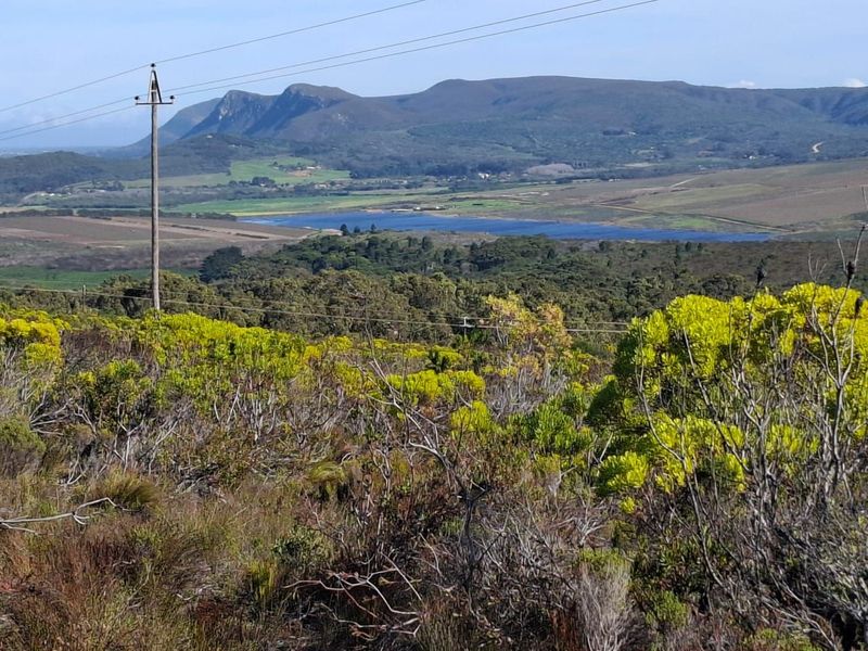 A scenic landscape view overlooking a valley, dam, and distant mountain range, featuring native vegetation and overhead utility infrastructure.