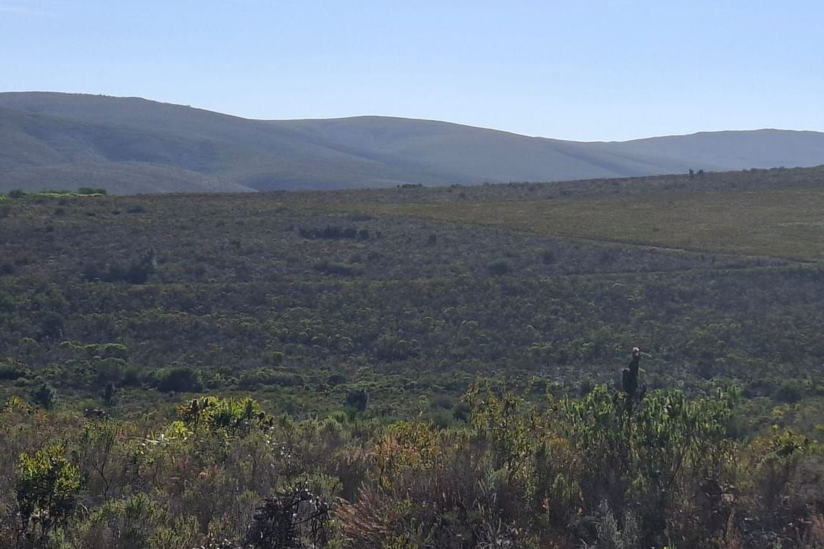 Expansive scenic view of the surrounding natural landscape and rolling hills, showcasing the property's rural setting.