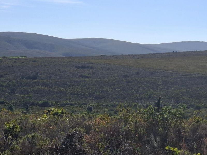 Expansive scenic view of the surrounding natural landscape and rolling hills, showcasing the property's rural setting.
